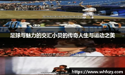 亿兆体育官网